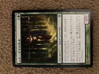 MTG ムル・ダヤの巫女 日本語1枚