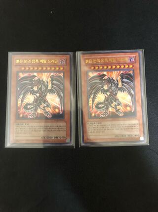 Multiple simultaneous purchase shipping discount Yu-Gi-Oh! Red-Eyes Darkness Metal Dragon Korean Edition 2 copies