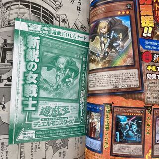 遊戯王 新鋭の女戦士