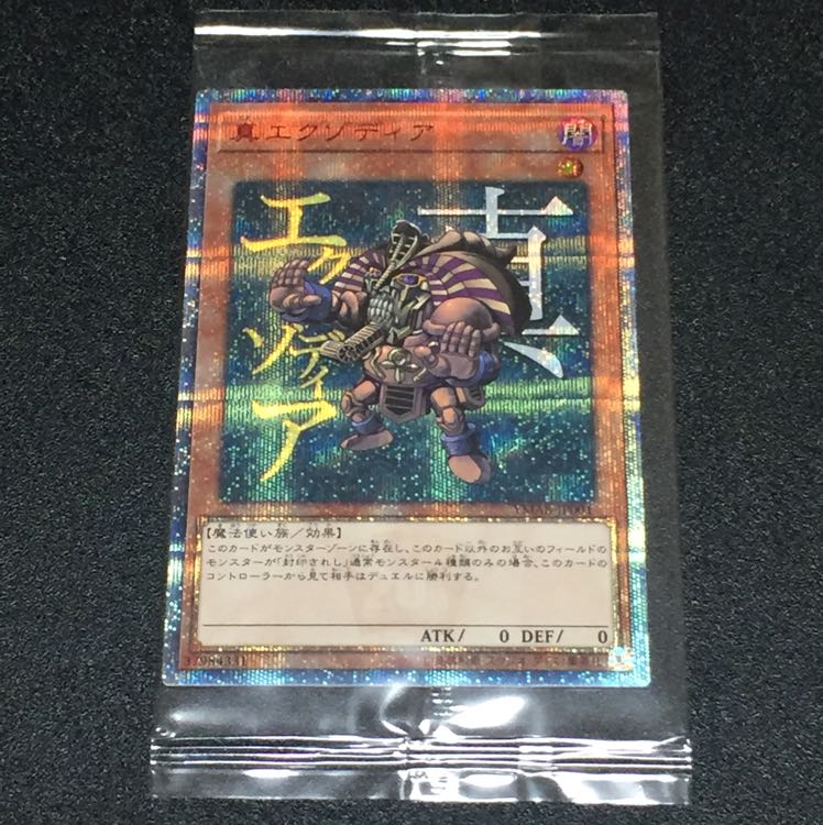 真エクゾディア 20th