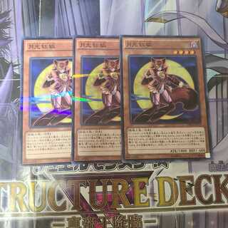 月光紅狐 パラレル ノーマル　3枚