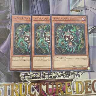 トランスファミリア ノーマル　3枚