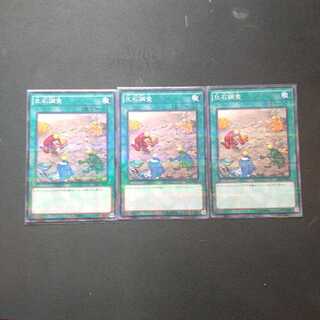 化石調査 パラレル ノーマル