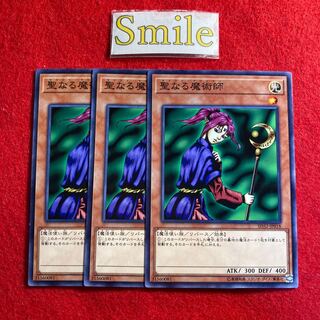 聖なる魔術師#3027