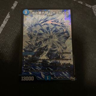 水上第九院 シャコガイル　翌日発送