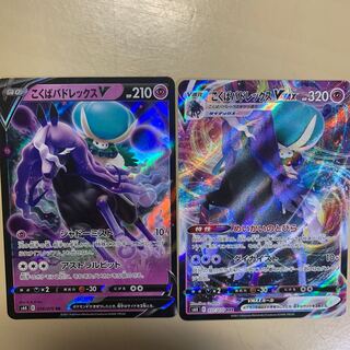 こくばバドレックスV こくばバドレックスVMAX セット