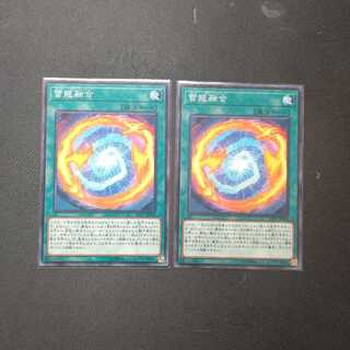 雷龍融合 ノーマル2枚セット