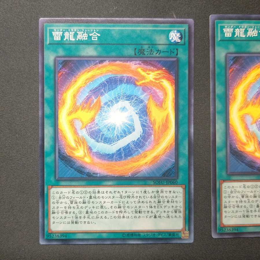 雷龍融合 ノーマル2枚セット