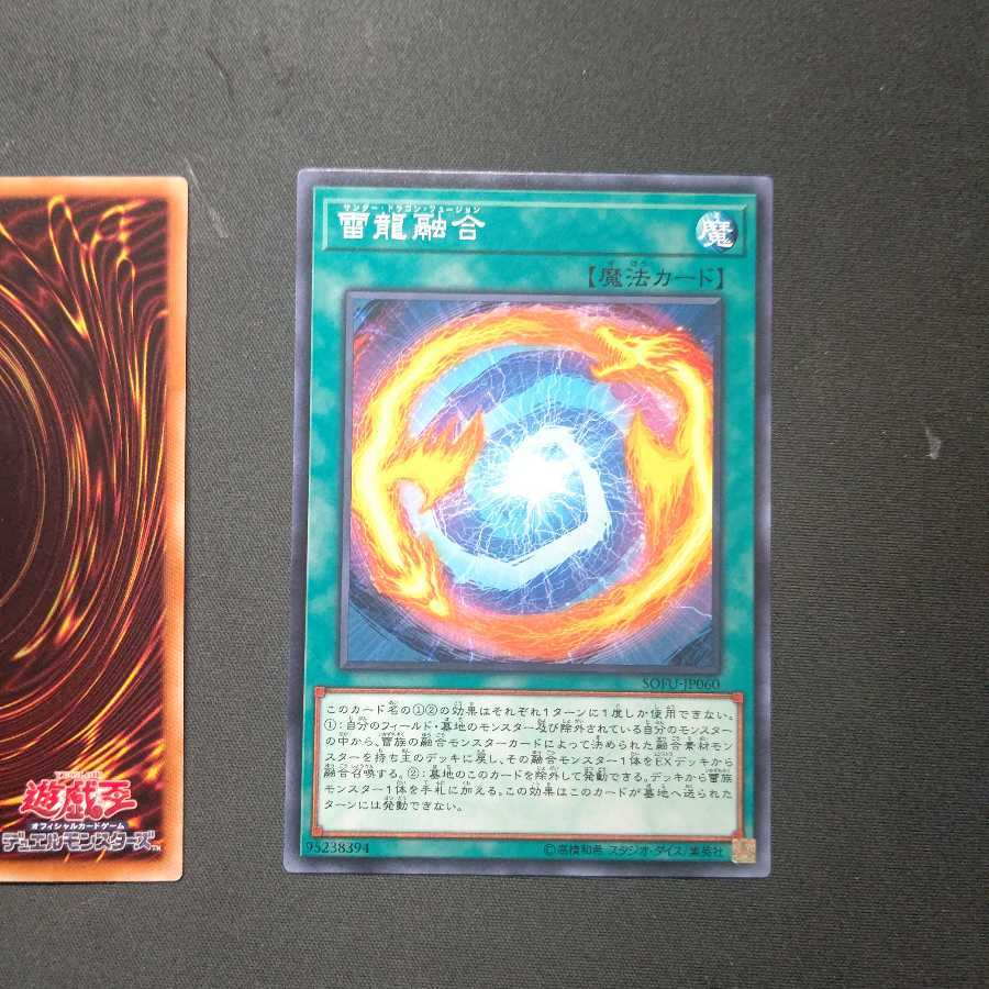 雷龍融合 ノーマル2枚セット