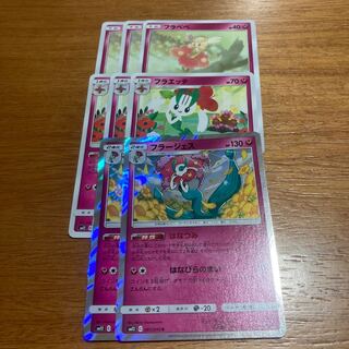 フラージェス2枚