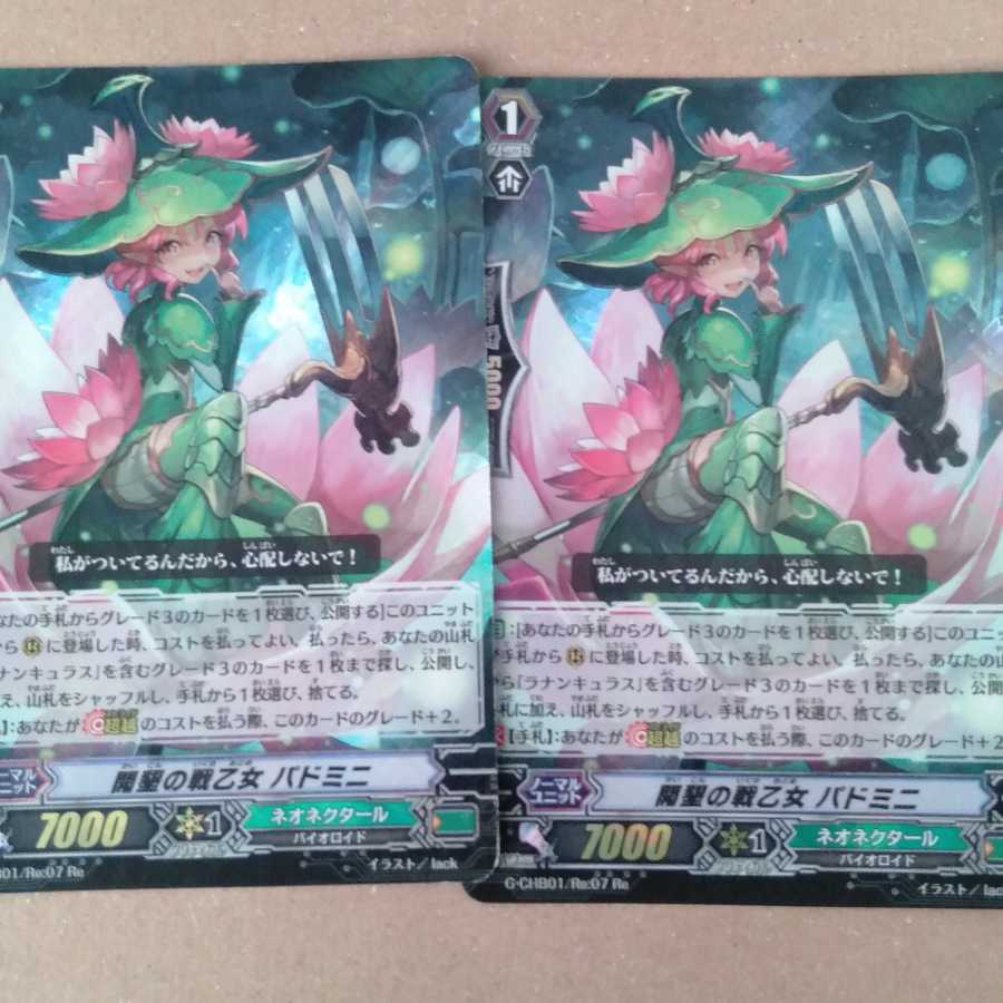 開墾の戦乙女 パドミニ