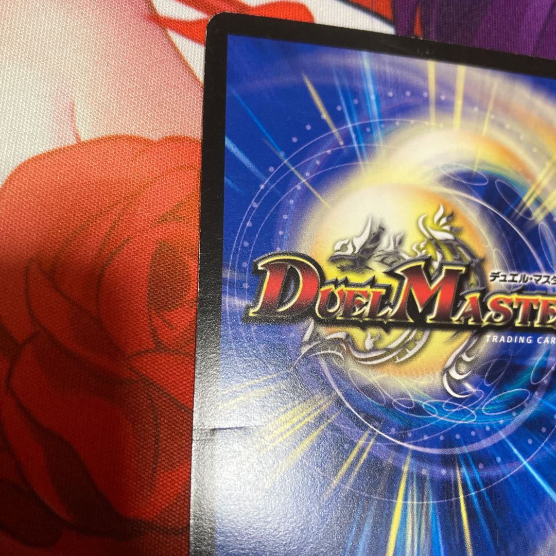 クール・ビューティー 1枚