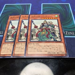 戦華の義ー関雲　専用