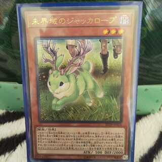 未界域のノャッンカロープ