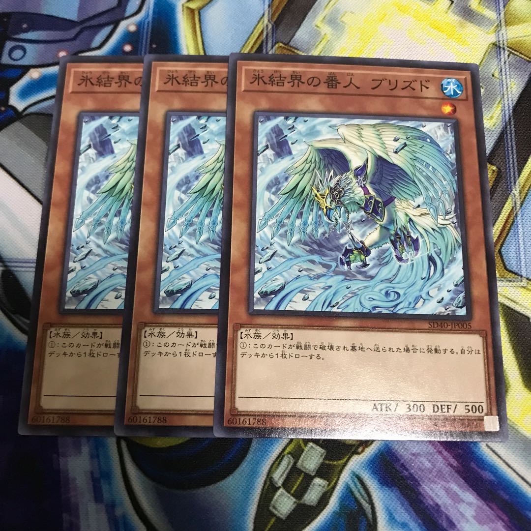 氷結界の番人 ブリズド ノーマル Hulu 1923