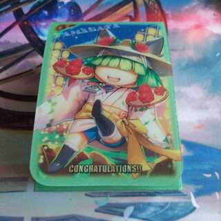 Faerie Life Deck Case