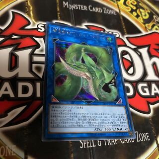 遊戯王 捕食植物ヴェルテアナコンダ シークレット