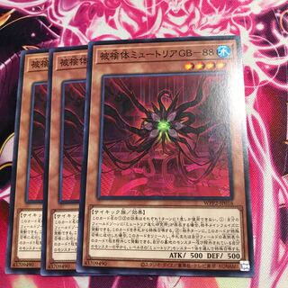 被検体ミュートリアGB-88 ノーマル