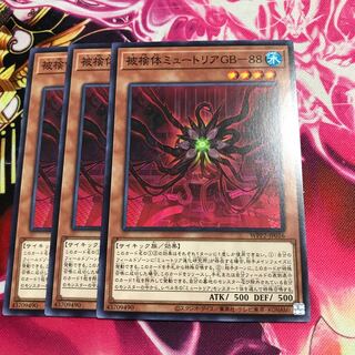 被検体ミュートリアGB-88 ノーマル