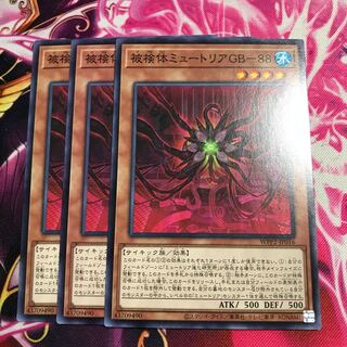 被検体ミュートリアGB-88 ノーマル