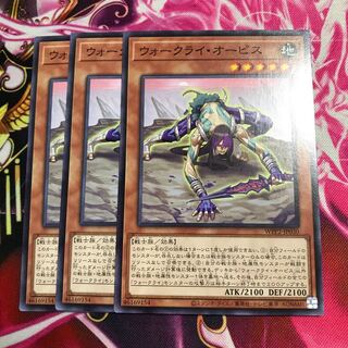 ウォークライ・オーピス ノーマル 1枚