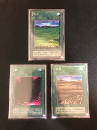 Multiple simultaneous purchase shipping discount Yu-Gi-Oh! Grasslands Yami Wasteland 2nd stage character rare set
