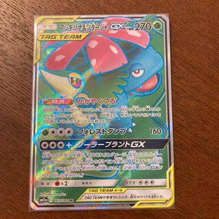 Venusaur & SnivyGX SR