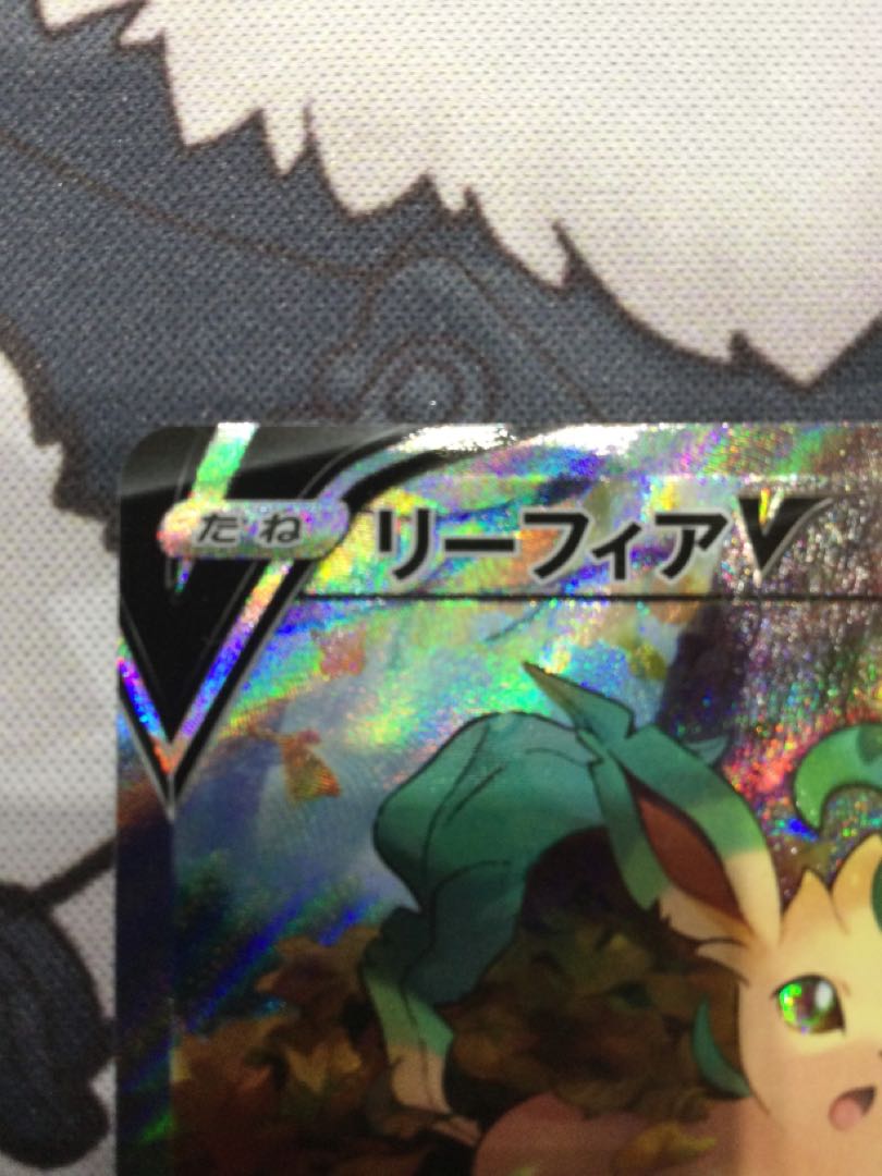 リーフィアV SR スペシャルアート　071/069  【06650-45】