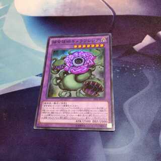 【遊戯王】捕食植物キメラフレシア SR