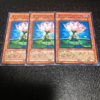 【もふもふ】サクリファイス・ロータス