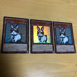 レスキューラビット　スーパー