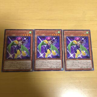 トゥーン・ハーピィ・レディ