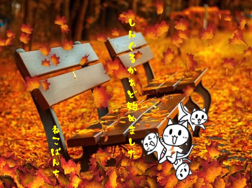 PSA10 ラーの翼神竜 20thシークレット 遊戯王