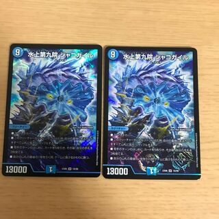 水上第九院 シャコガイル