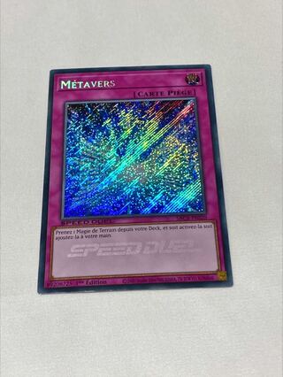 Metaverse French edition EU edition