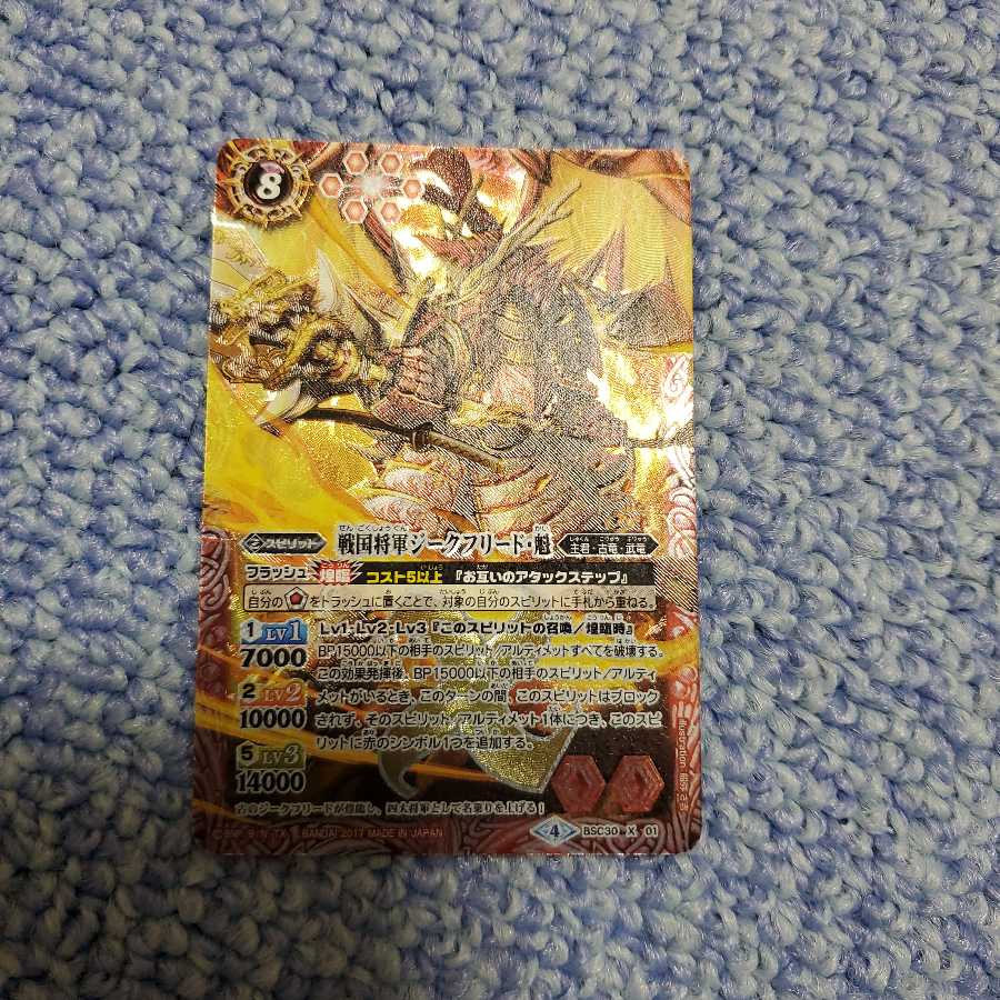 戦国将軍ジークフリート・魁