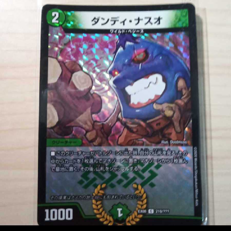 ダンディ・ナスオ C-foil