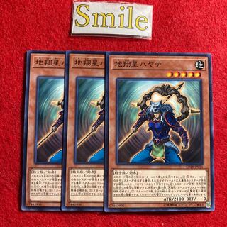 地翔星ハヤテ#3038