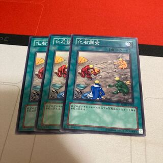 化石調査 ノーマル　3枚特価品