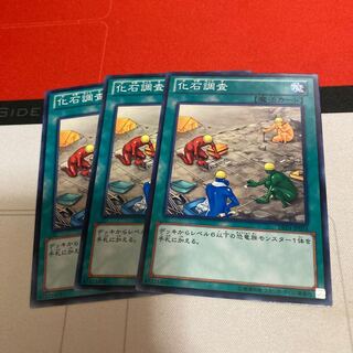 化石調査 ノーマル　3枚特価品