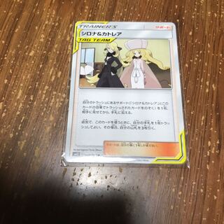 シロナ&カトレア❷