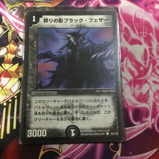 怒りの影ブラック・フェザー