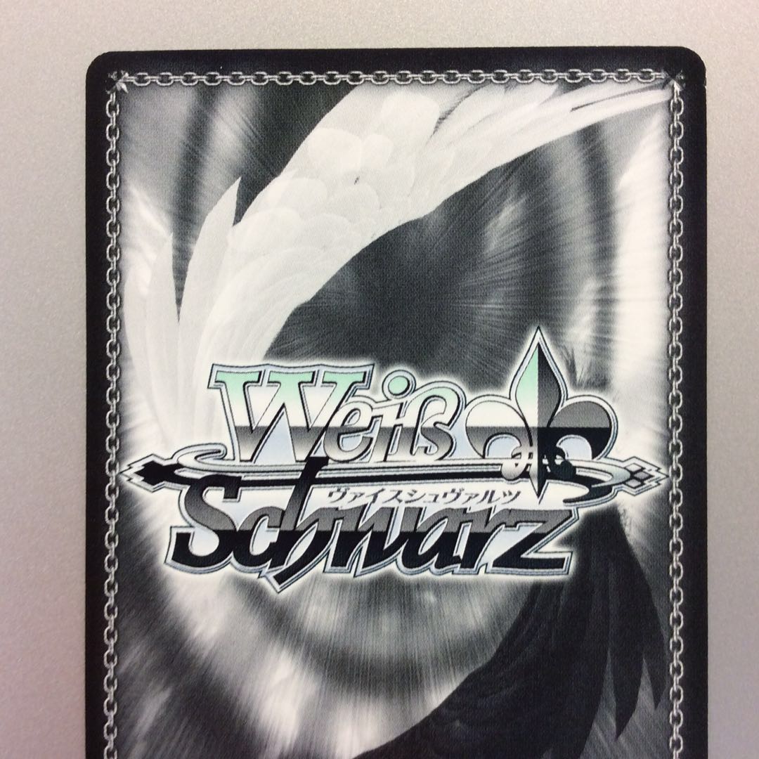 (微キズ)多種多彩 サリー SP サイン