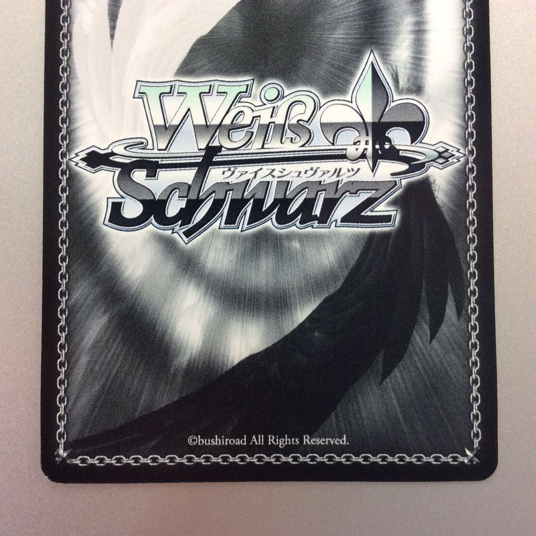 (Slight flaw) "Craziness II" Paleo SP signed