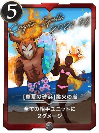 正体不明様専用【真夏の砂浜】業火の嵐