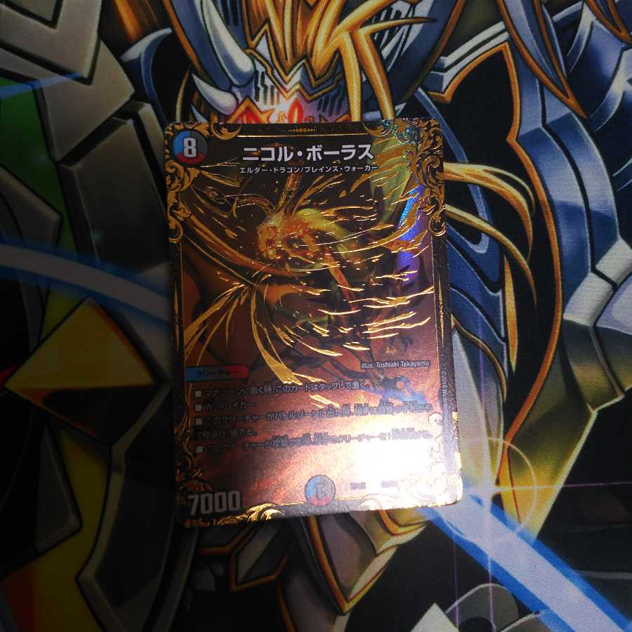 ニコルボーラス