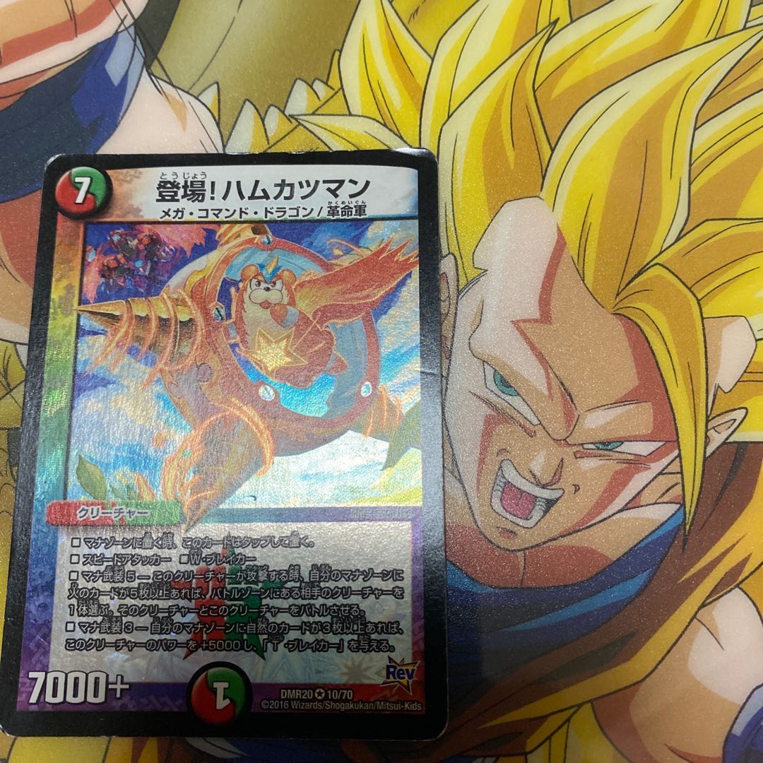 登場!ハムカツマン