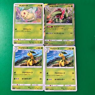 チコリータ1枚、メガニウム1枚、ベイリーフ2枚