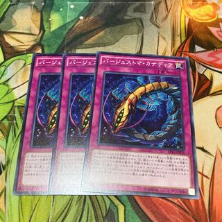 バージェストマ・カナディア ノーマル　3枚特価品