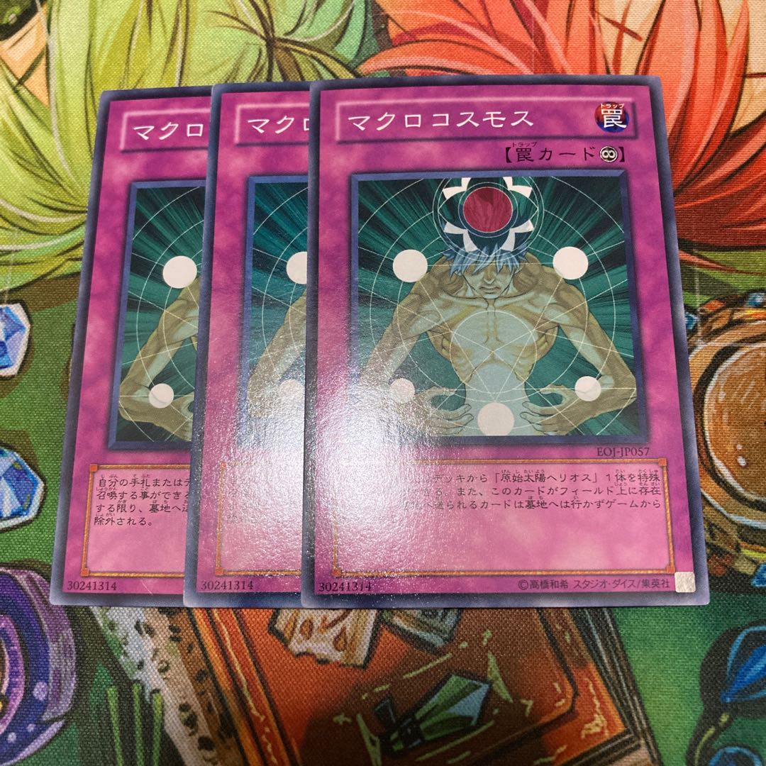 Macro Cosmos Normal 3pcs Special Price